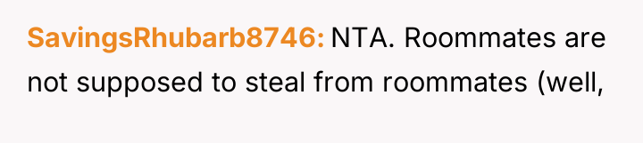 SavingsRhubarb8746 NTA. Roommates are not supposed to steal from roommates...