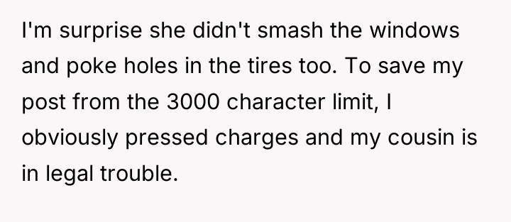 I'm surprise she didn't smash the windows and poke holes...