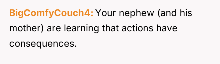 BigComfyCouch4 Your nephew (and his mother) are learning that actions...