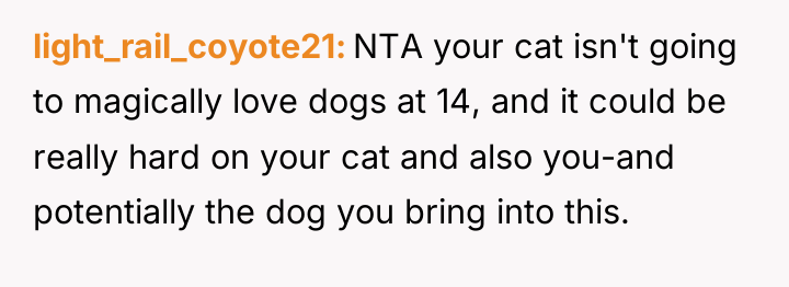 light_rail_coyote21 NTA your cat isn't going to magically love dogs...