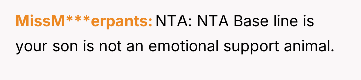 MissM***erpants NTA: NTA Base line is your son is not...