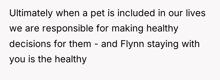 Ultimately when a pet is included in our lives we...