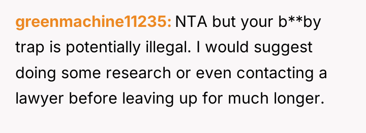 greenmachine11235 NTA but your b**by trap is potentially illegal. I...