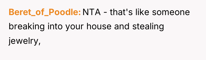 Beret_of_Poodle NTA - that's like someone breaking into your house...