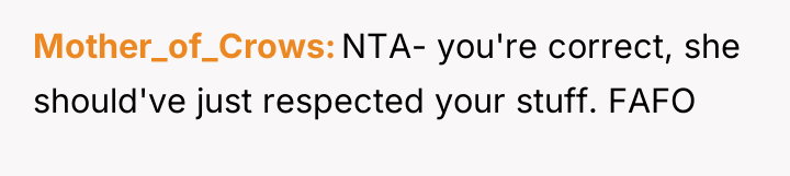 Mother_of_Crows NTA- you're correct, she should've just respected your stuff....