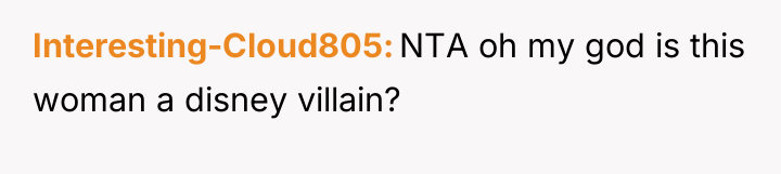 Interesting-Cloud805 NTA oh my god is this woman a disney...