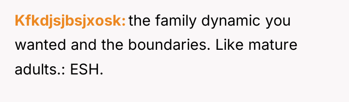 Kfkdjsjbsjxosk the family dynamic you wanted and the boundaries. Like...