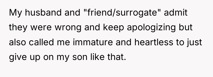 My husband and "friend/surrogate" admit they were wrong and keep...