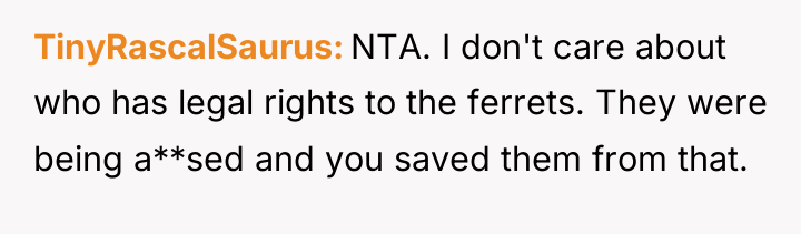 TinyRascalSaurus NTA. I don't care about who has legal rights...