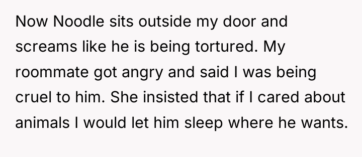 Now Noodle sits outside my door and screams like he...