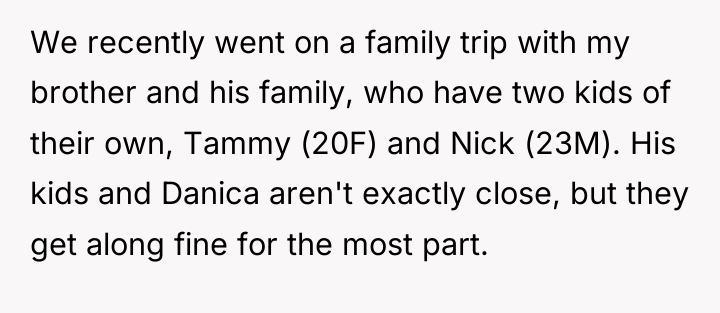 We recently went on a family trip with my brother...