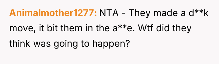 Animalmother1277 NTA - They made a d**k move, it bit...