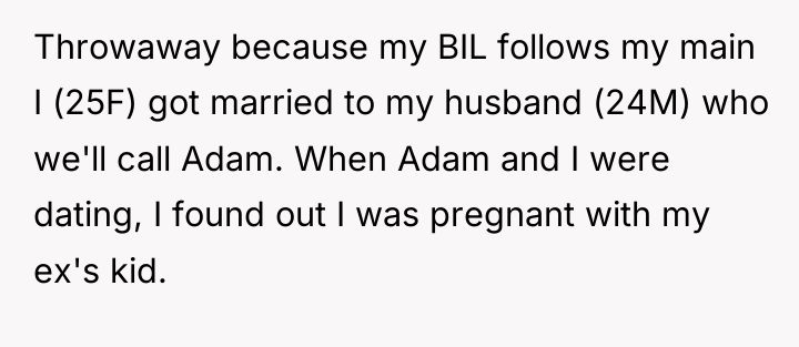 Throwaway because my BIL follows my main I (25F) got...