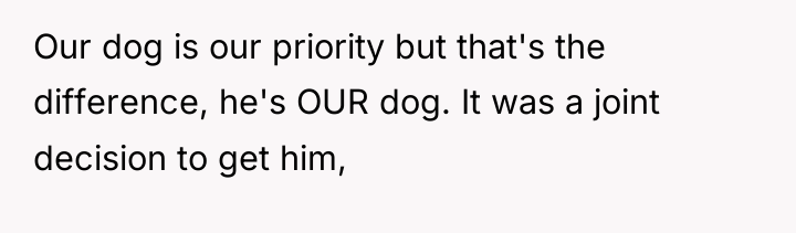 Our dog is our priority but that's the difference, he's...