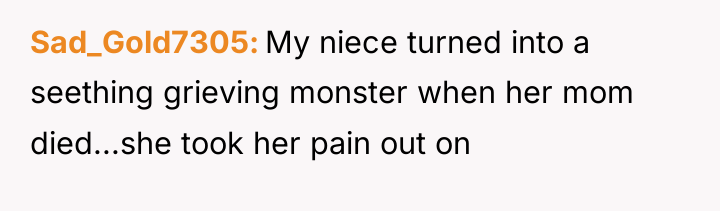 Sad_Gold7305 My niece turned into a seething grieving monster when...
