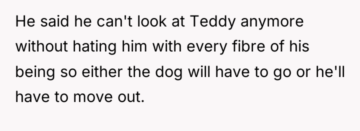 He said he can't look at Teddy anymore without hating...
