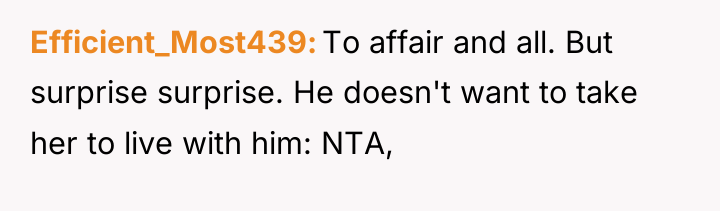 Efficient_Most439 To affair and all. But surprise surprise. He doesn't...