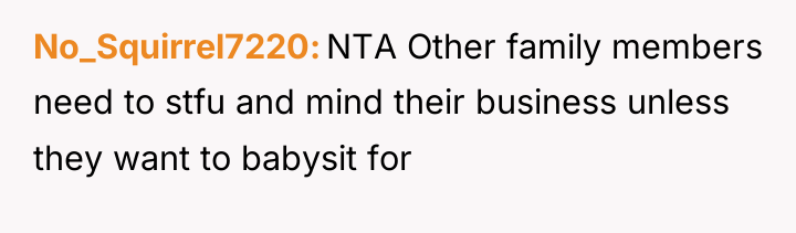 No_Squirrel7220 NTA Other family members need to stfu and mind...