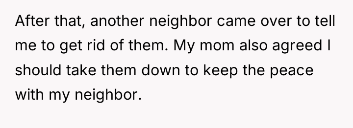 After that, another neighbor came over to tell me to...