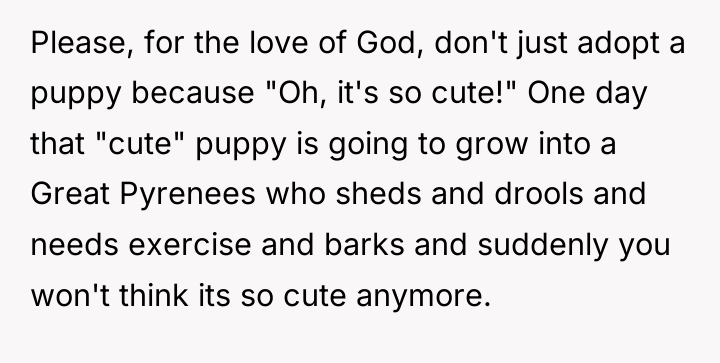 Please, for the love of God, don't just adopt a...