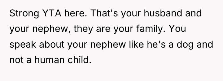 Strong YTA here. That's your husband and your nephew, they...