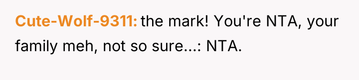 Cute-Wolf-9311 the mark! You're NTA, your family meh, not so...