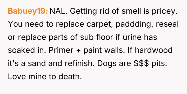 Babuey19 NAL. Getting rid of smell is pricey. You need...