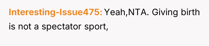 Interesting-Issue475 Yeah,NTA. Giving birth is not a spectator sport,