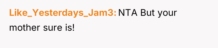Like_Yesterdays_Jam3 NTA But your mother sure is!
