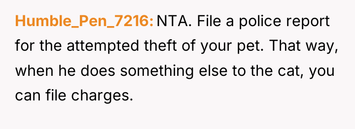 Humble_Pen_7216 NTA. File a police report for the attempted theft...