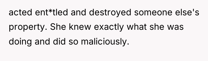 acted ent*tled and destroyed someone else's property. She knew exactly...