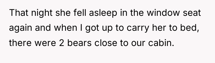 That night she fell asleep in the window seat again...