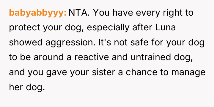 babyabbyyy NTA. You have every right to protect your dog,...