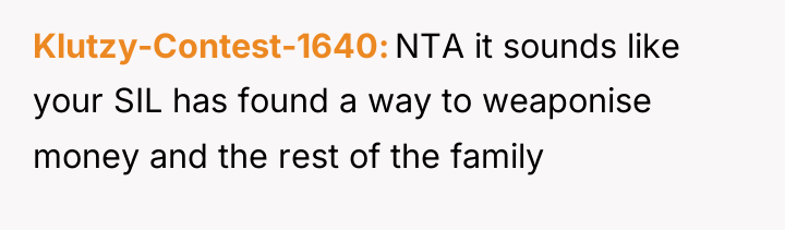 Klutzy-Contest-1640 NTA it sounds like your SIL has found a...