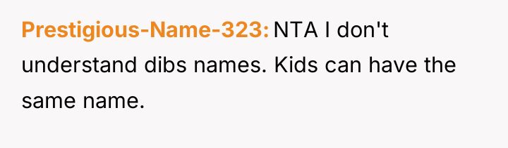Prestigious-Name-323 NTA I don't understand dibs names. Kids can have...