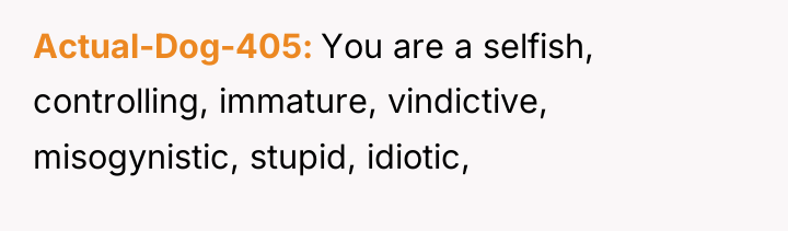 Actual-Dog-405 You are a selfish, controlling, immature, vindictive, misogynistic, stupid,...
