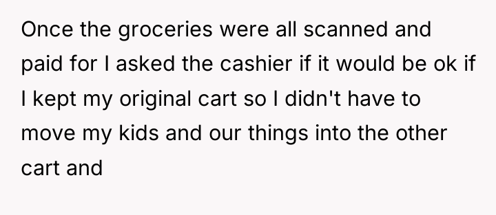 Once the groceries were all scanned and paid for I...