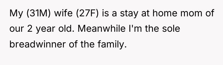 My (31M) wife (27F) is a stay at home mom...