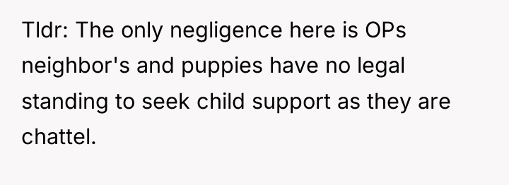 Tldr: The only negligence here is OPs neighbor's and puppies...