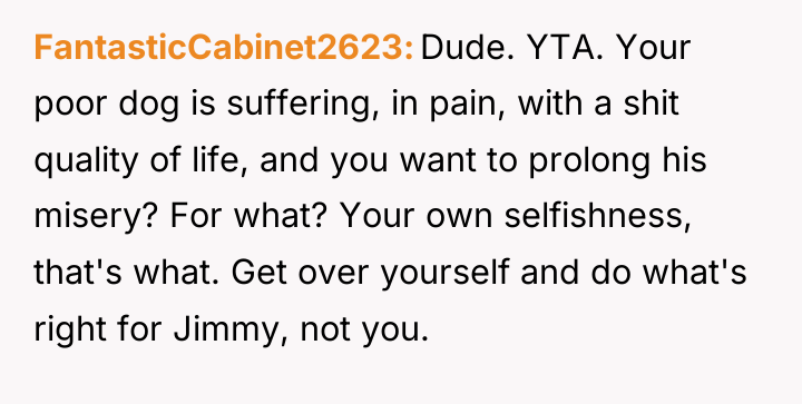 FantasticCabinet2623 Dude. YTA. Your poor dog is suffering, in pain,...