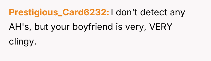 Prestigious_Card6232 I don't detect any AH's, but your boyfriend is...