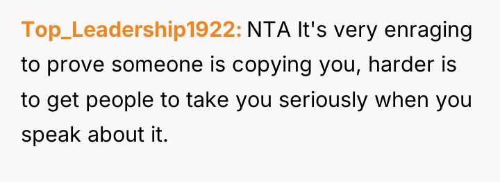 Top_Leadership1922 NTA It's very enraging to prove someone is copying...