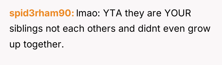spid3rham90 lmao: YTA they are YOUR siblings not each others...