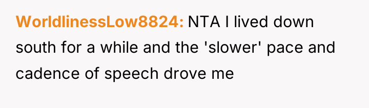 WorldlinessLow8824 NTA I lived down south for a while and...