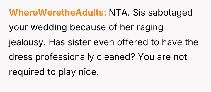 WhereWeretheAdults NTA. Sis sabotaged your wedding because of her raging...