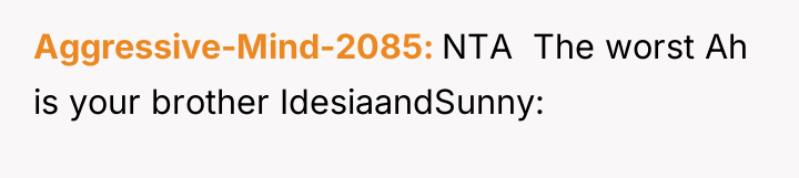 Aggressive-Mind-2085 NTA ​ The worst Ah is your brother IdesiaandSunny: