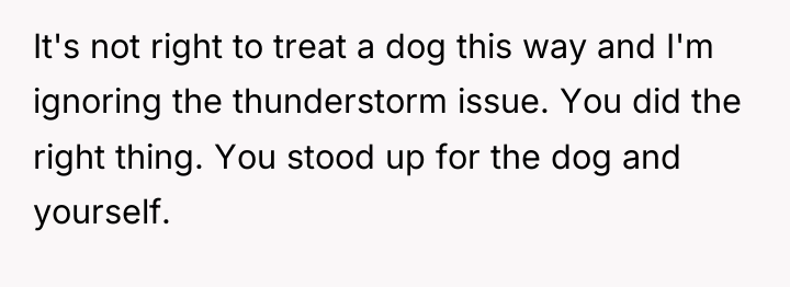 It's not right to treat a dog this way and...