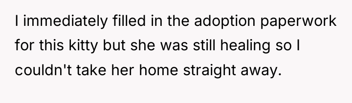 I immediately filled in the adoption paperwork for this kitty...