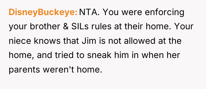 DisneyBuckeye NTA. You were enforcing your brother & SILs rules...