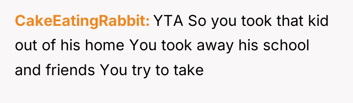 CakeEatingRabbit YTA So you took that kid out of his...
